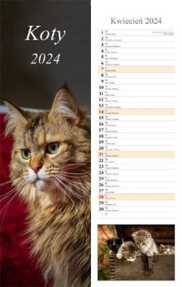 Kalendarz 2024 Pasek Koty