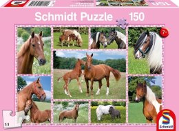 Puzzle 150 Konie G3