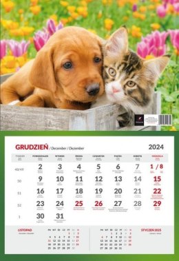 Kalendarz 2024 jednodzielny MIX