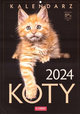 Kalendarz 2024 Koty
