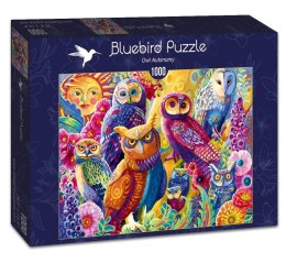 Puzzle 1000 Kolorowe sowy
