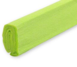 Bibuła marszczona pastelowa zielona 50x200 (10szt)