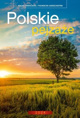 Kalendarz 2024 Wieloplanszowy Polskie Pejzaże