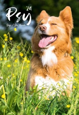 Kalendarz 2024 Wieloplanszowy Psy