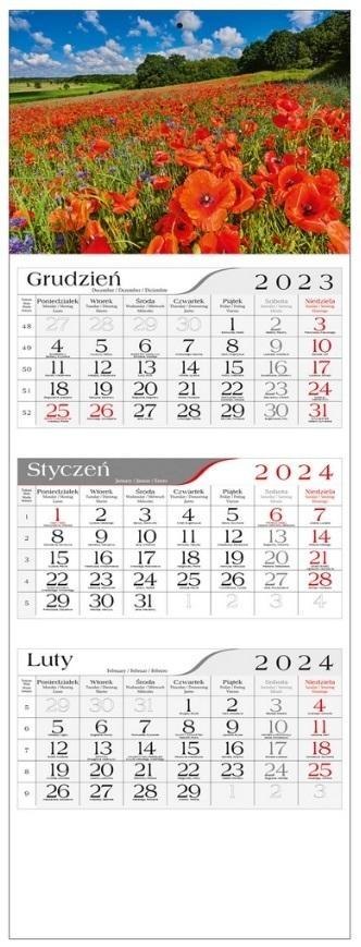 Kalendarz 2024 Trójdzielny Makowa łąka