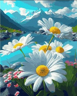 Malowanie po numerach - Stokrotki alpejskie 40x50