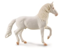 Koń Camarlillo biały