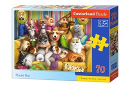 Puzzle 70 Playful Pets CASTOR