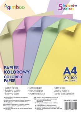 Papier kolorowy A4 5 kolorów 100szt