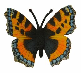 Motyl Rusałka pokrzywnik