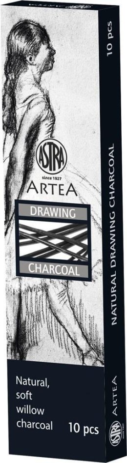 Węgiel naturalny rysunkowy 3-6mm 10szt ASTRA