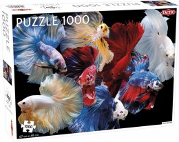 Puzzle 1000 Animals: Fighting Fish