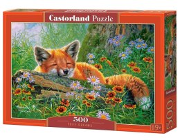 Puzzle 500 Foxy Dreams CASTOR