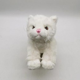 Pluszowy kot biały