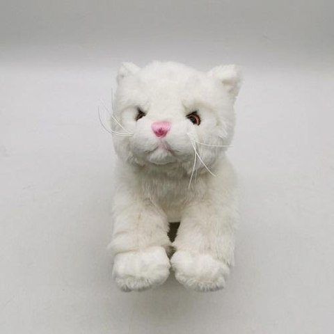 Pluszowy kot biały