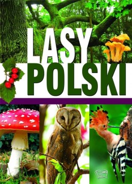Lasy Polski