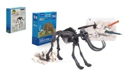 Wykopaliska dinozaury szkielet