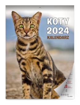 Kalendarz 2024 ścienny Koty