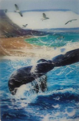 Mini kartka 3D - Ogon wieloryba