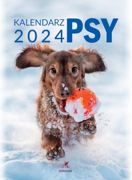 Kalendarz 2024 wieloplanszowy B4 Psy