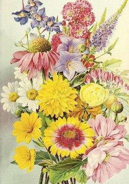 Karnet ST474 B6 + koperta Letnie kwiaty