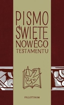 Pismo Świete - NT z ilustracjami