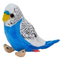 Papuga falista biało-niebieska 13cm