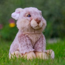 Pluszowy królik