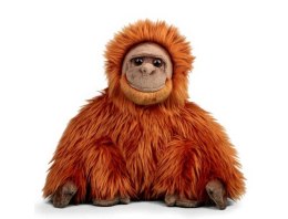 Pluszowy orangutan